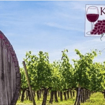 30th KGGWA Conference