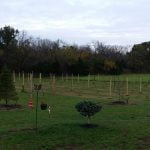 Panoramic View of Block A & B