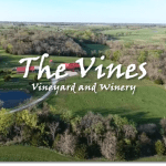The Vines Vineyard and Winery