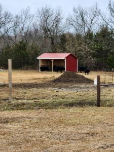 D&M Mini Barn